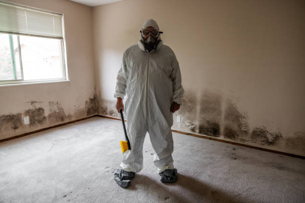 Professional Mold Removal in Red Lodge, MT